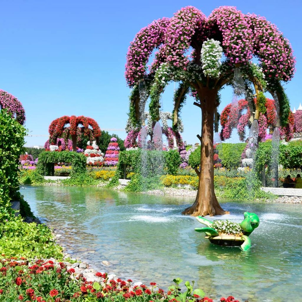 Dubai Butterfly Garden Skip the Line Tickets