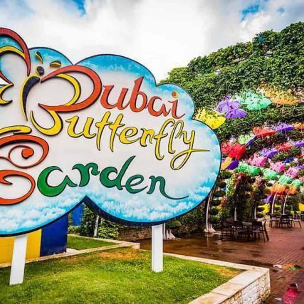 Dubai Butterfly Garden Skip the Line Tickets
