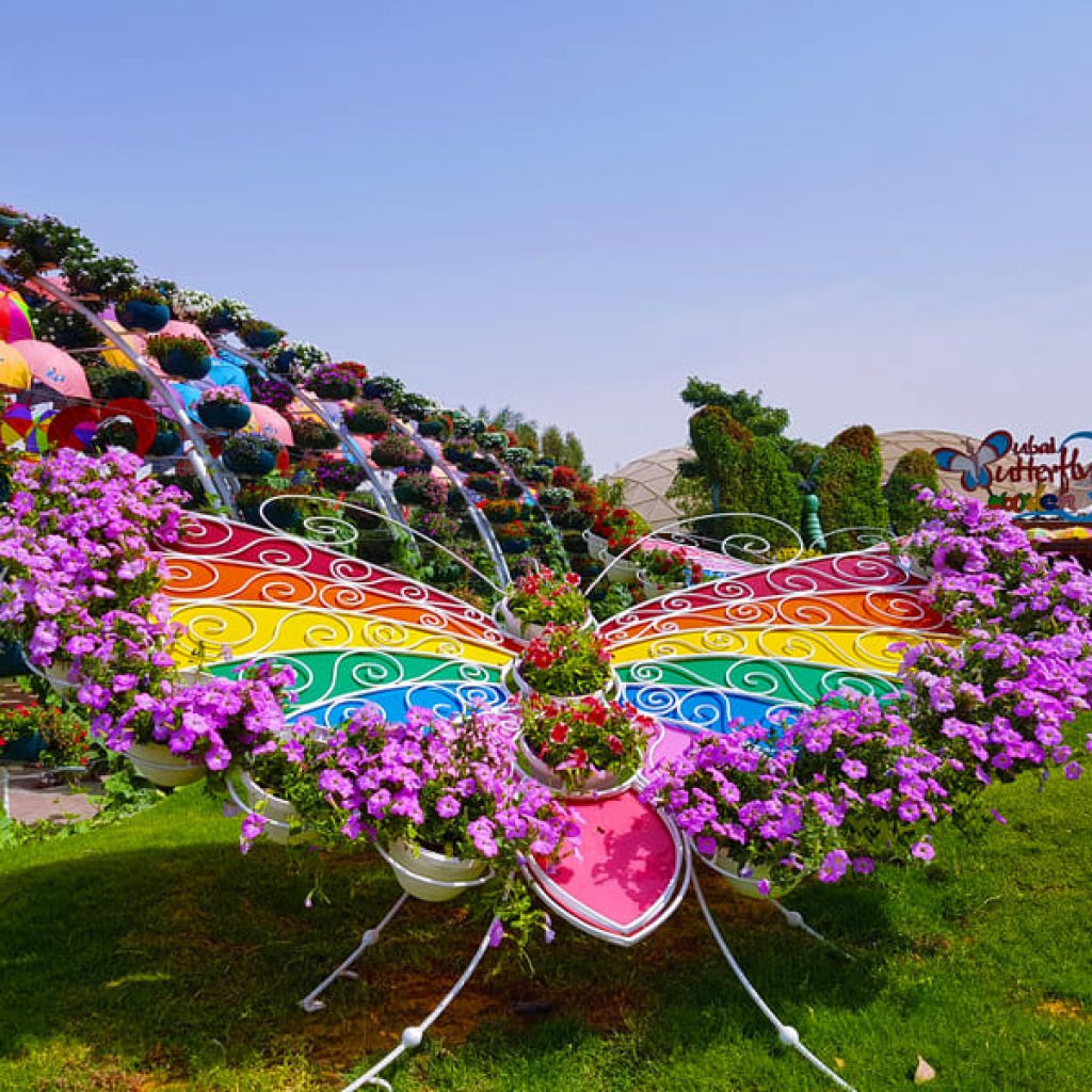 Dubai Butterfly Garden Skip the Line Tickets