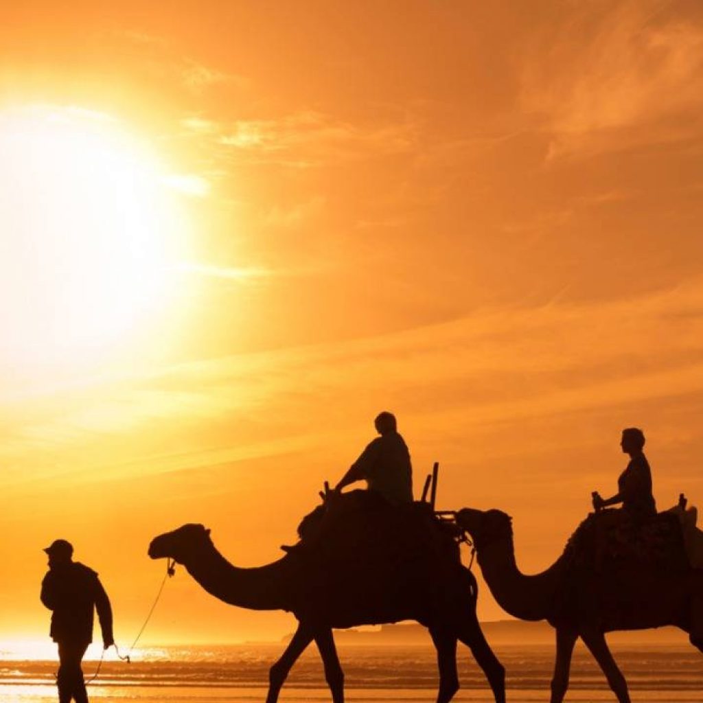Overnight Desert Safari