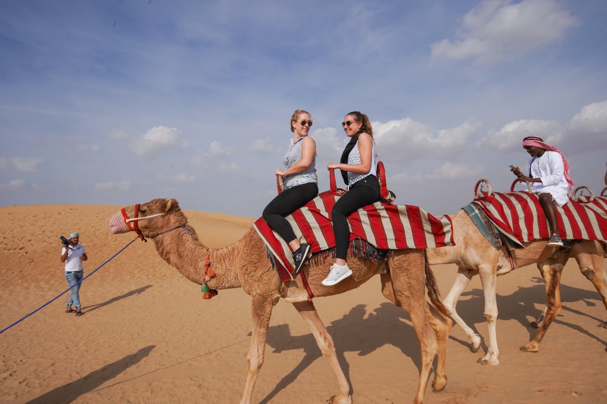 Morning Desert Safari with Camel Farm & Sandboarding
