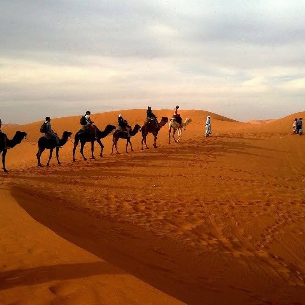 Desert Safari – Evening Private