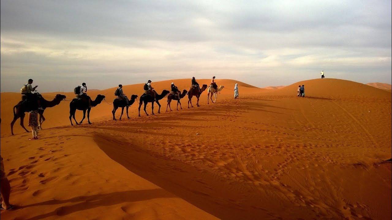 VIP Desert Safari by Adventure Desert Tourism