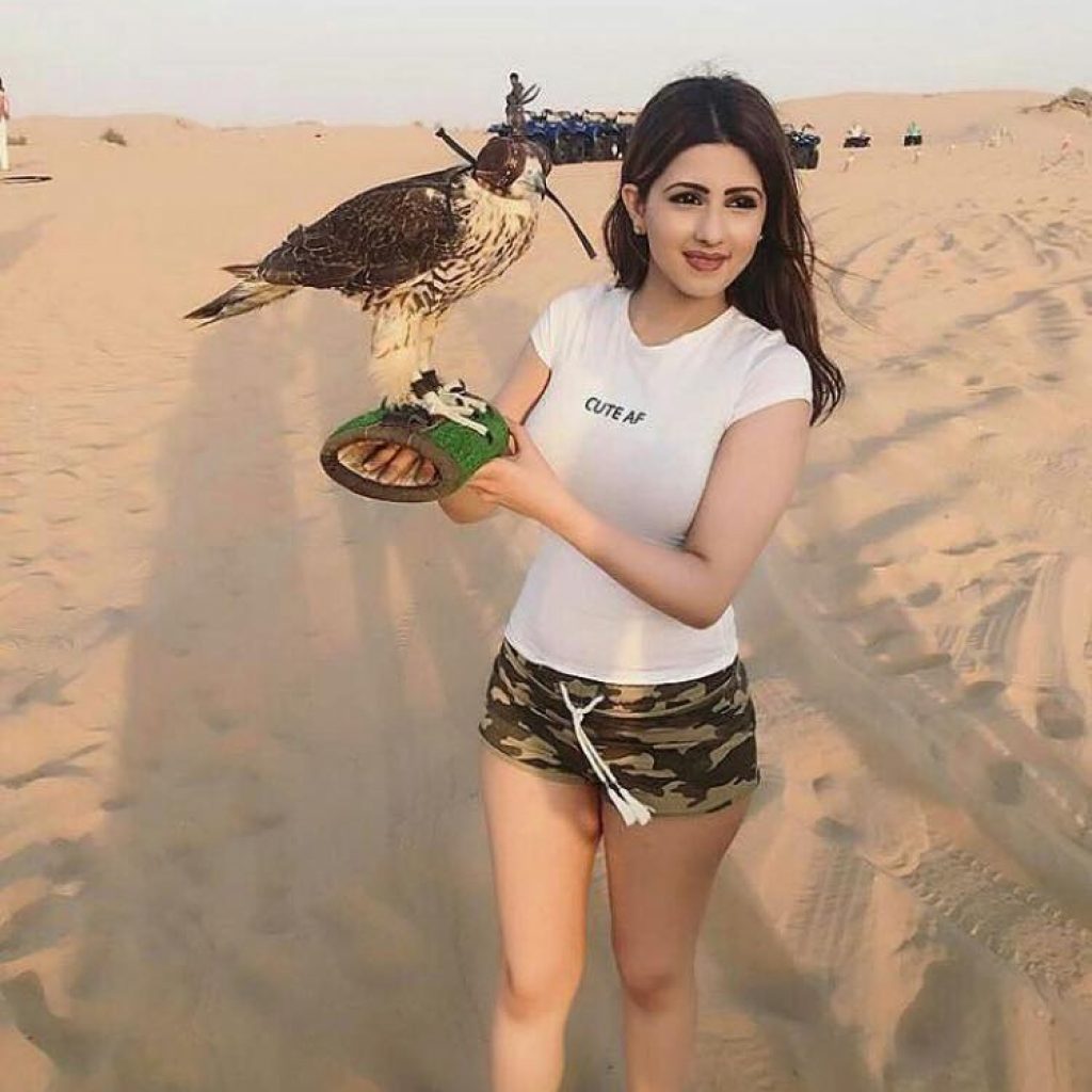 Premium 6 Hours Desert Safari Dubai
