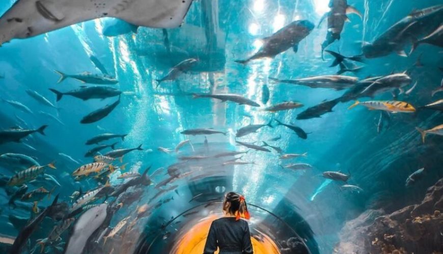 Combo : IMG Worlds of Adventure + The Lost Chambers Aquarium Tickets