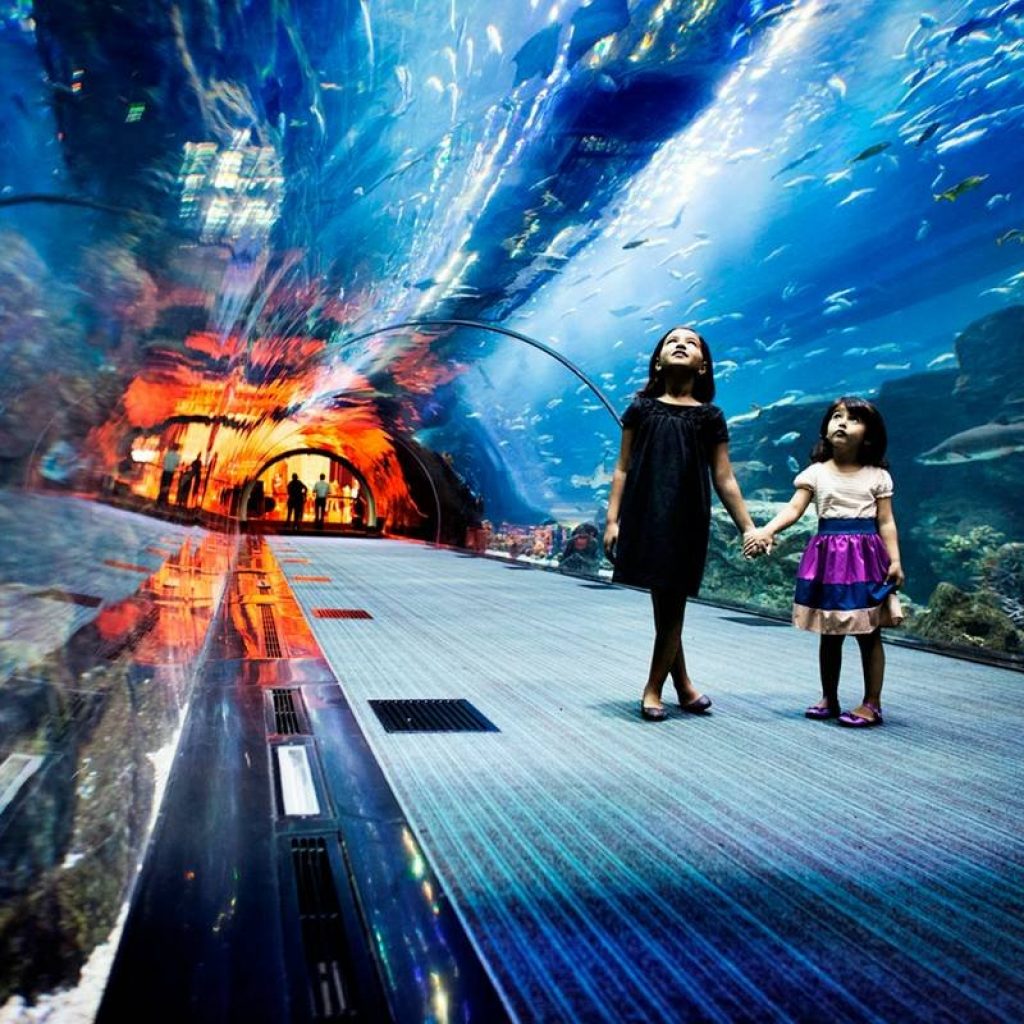 AYA Universe Ticket + Dubai Aquarium Underwater Zoo