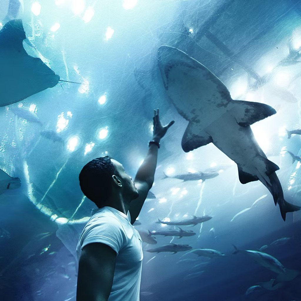 Combo : IMG Worlds of Adventure + The Lost Chambers Aquarium Tickets