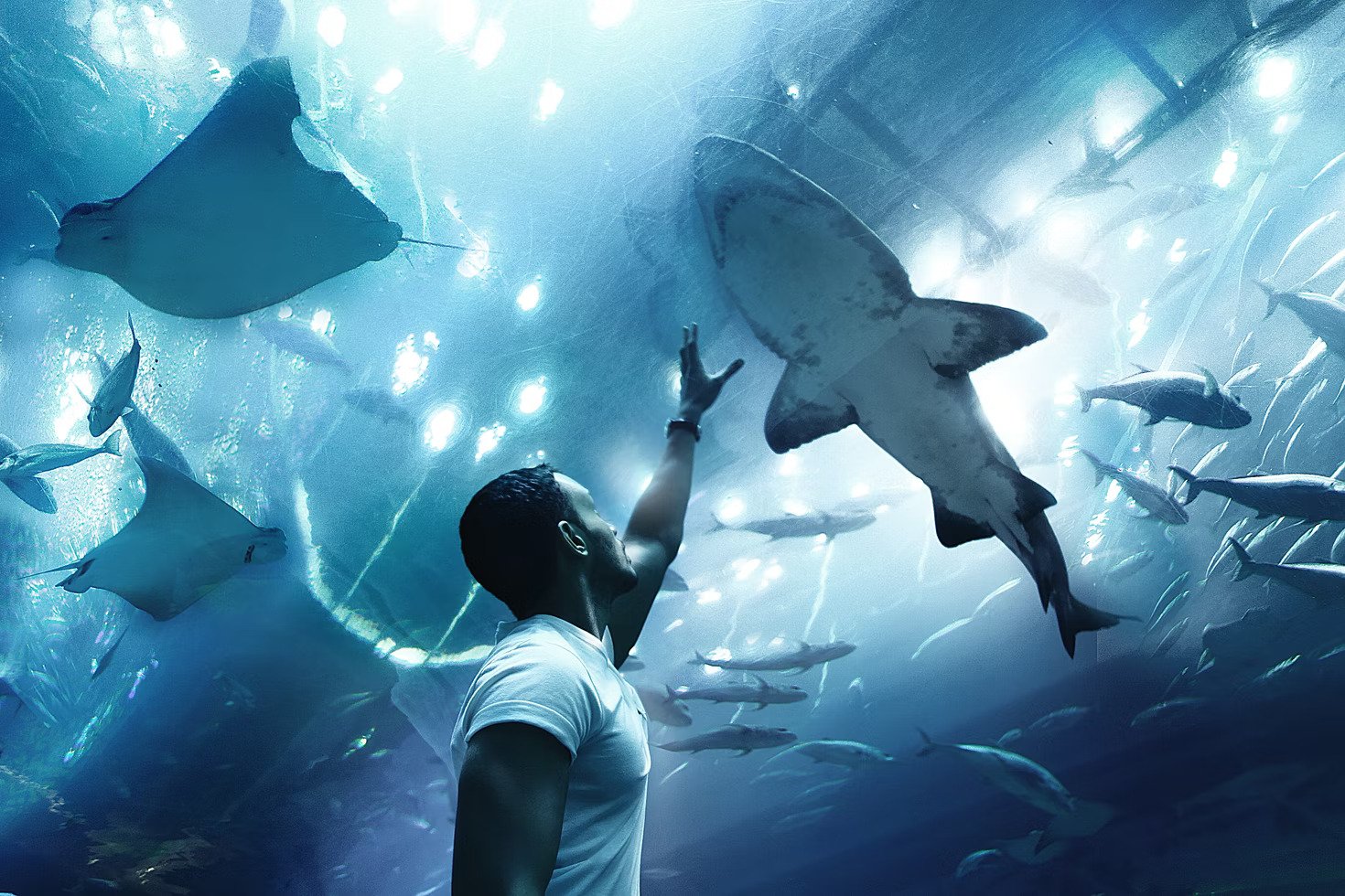 Combo : LEGOLAND® Water Park + Dubai Aquarium and Underwater Zoo Tickets