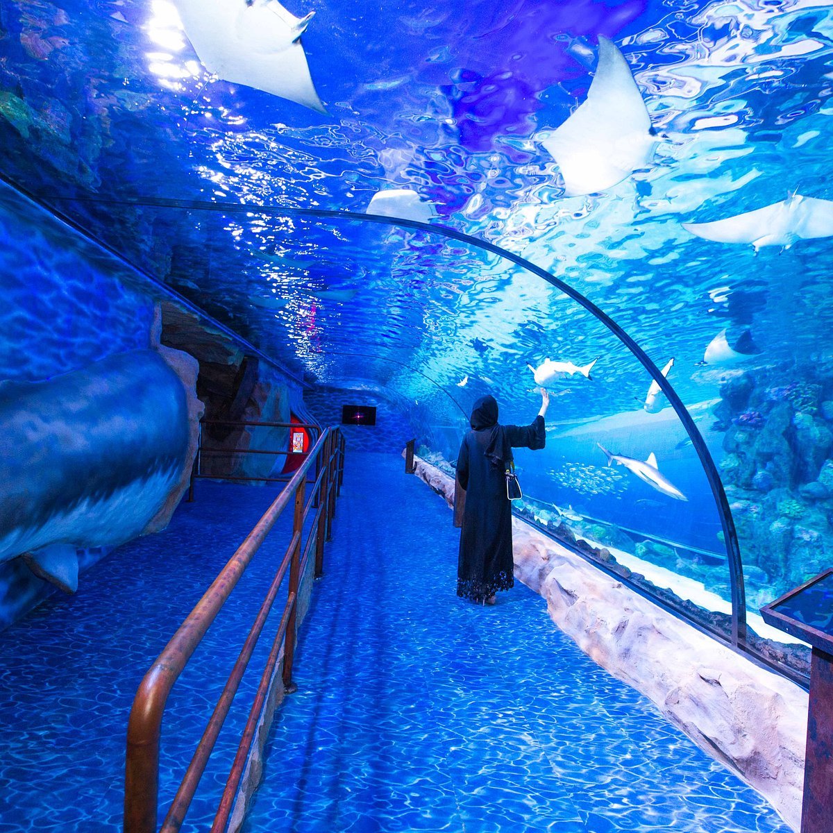 Combo: Dubai Aquarium + View at the Palm + Dubai Frame Tickets