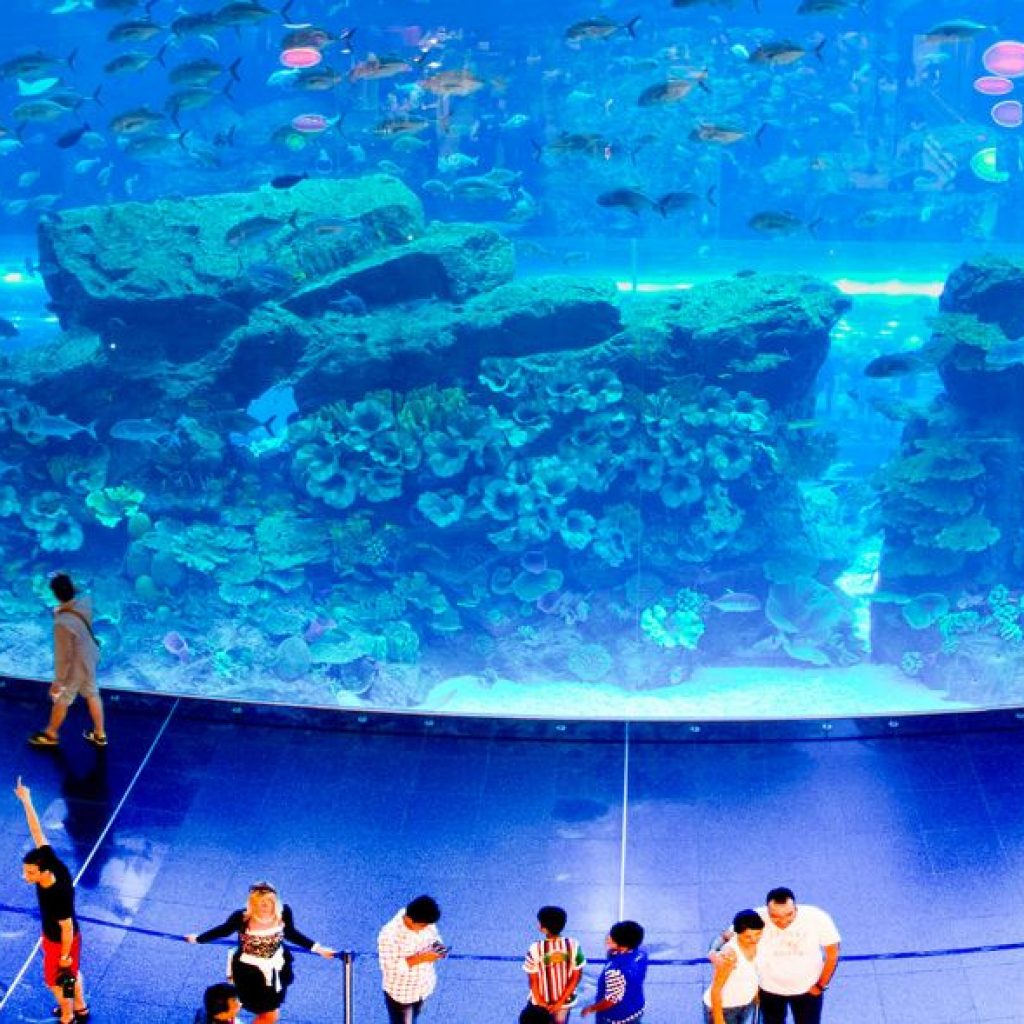 AYA Universe Ticket + Dubai Aquarium Underwater Zoo