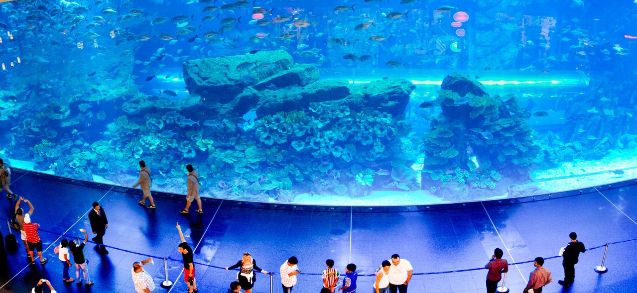 Dubai Mall Aquarium and Underwater zoo
