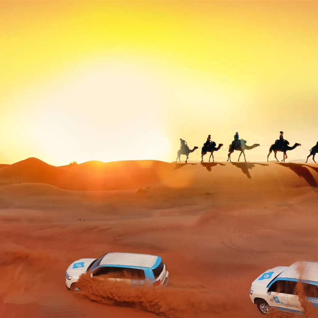Morning Desert Safari with Camel Farm & Sandboarding