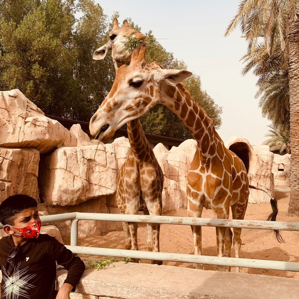 Emirates Park Zoo Tickets