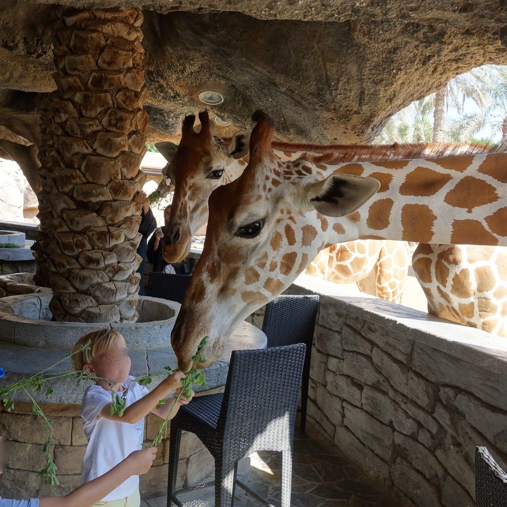 Emirates Park Zoo Tickets