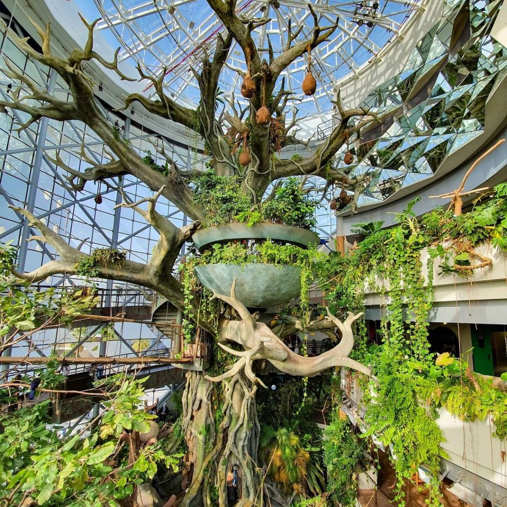 Admission to The Green Planet
