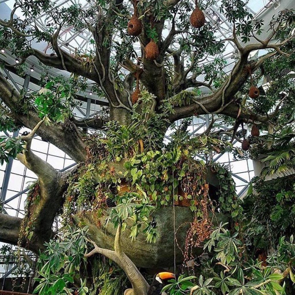 Admission to The Green Planet