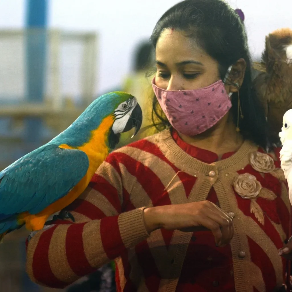 Dubai Dolphinarium Tickets: Creek Park Exotic Bird Show