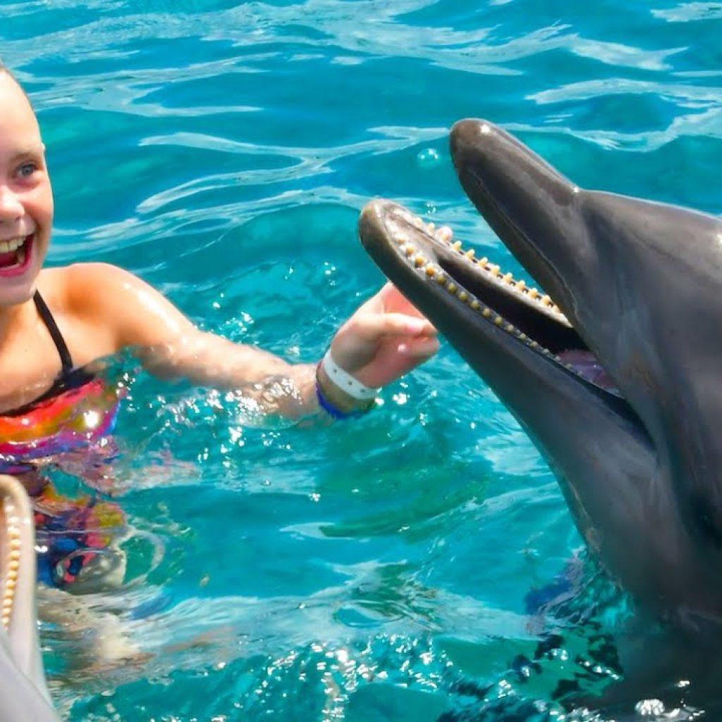 Dubai Dolphinarium Combo Tickets