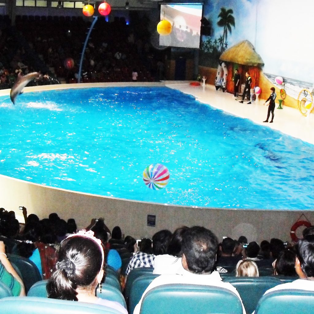 Dubai Dolphinarium