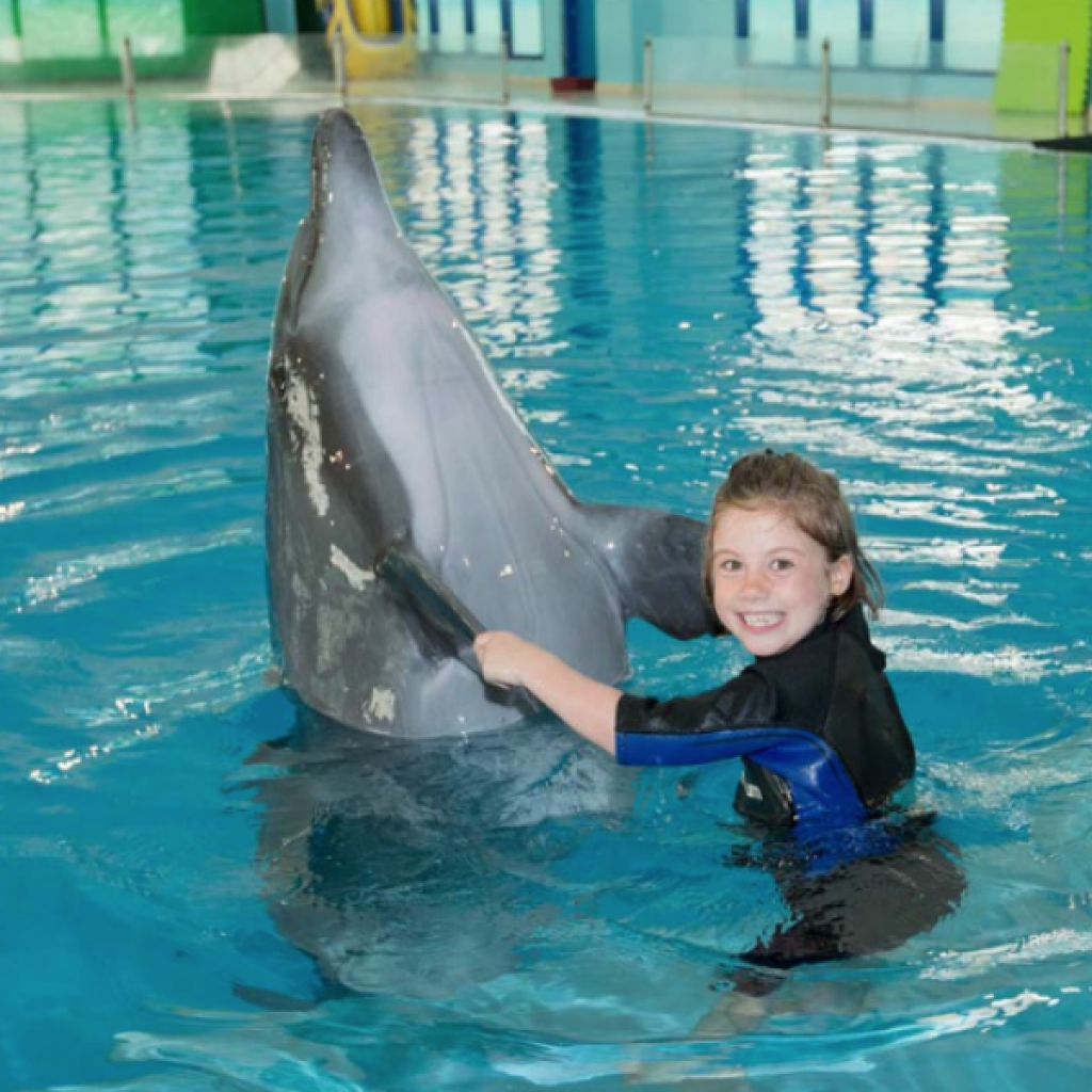 Dubai Dolphinarium Combo Tickets