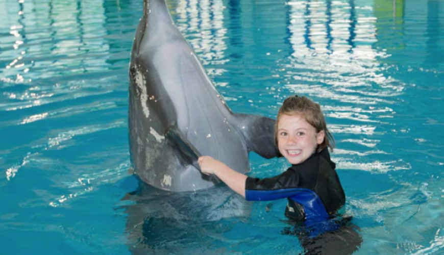 Dubai Dolphinarium Combo Tickets