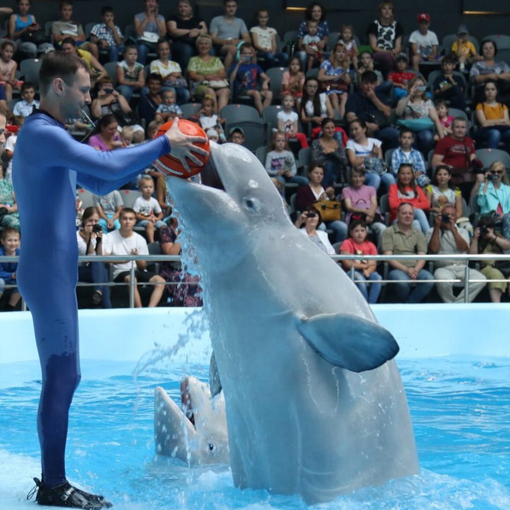 Dubai Dolphinarium