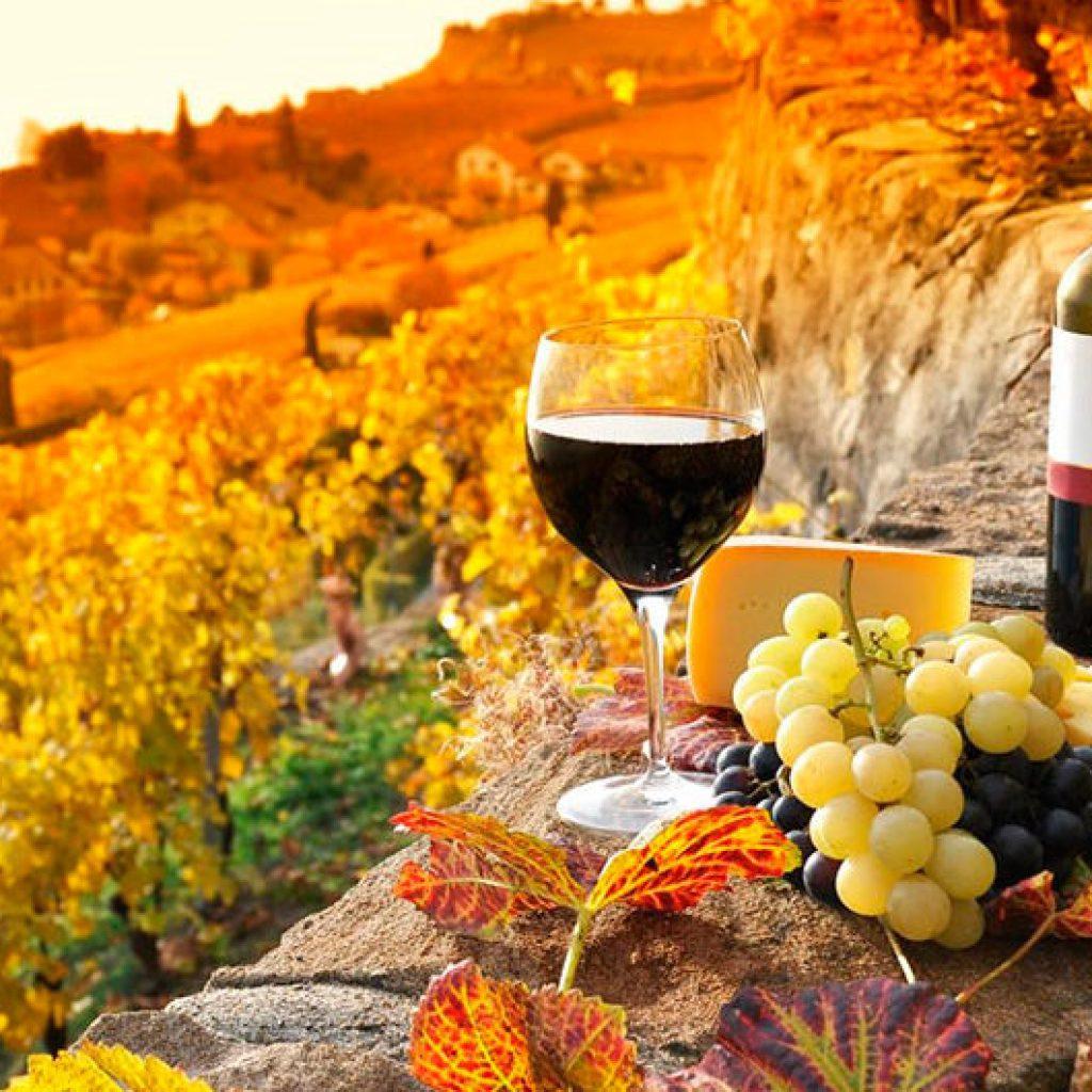 Georgia Adventure 5 nights 6 Days package