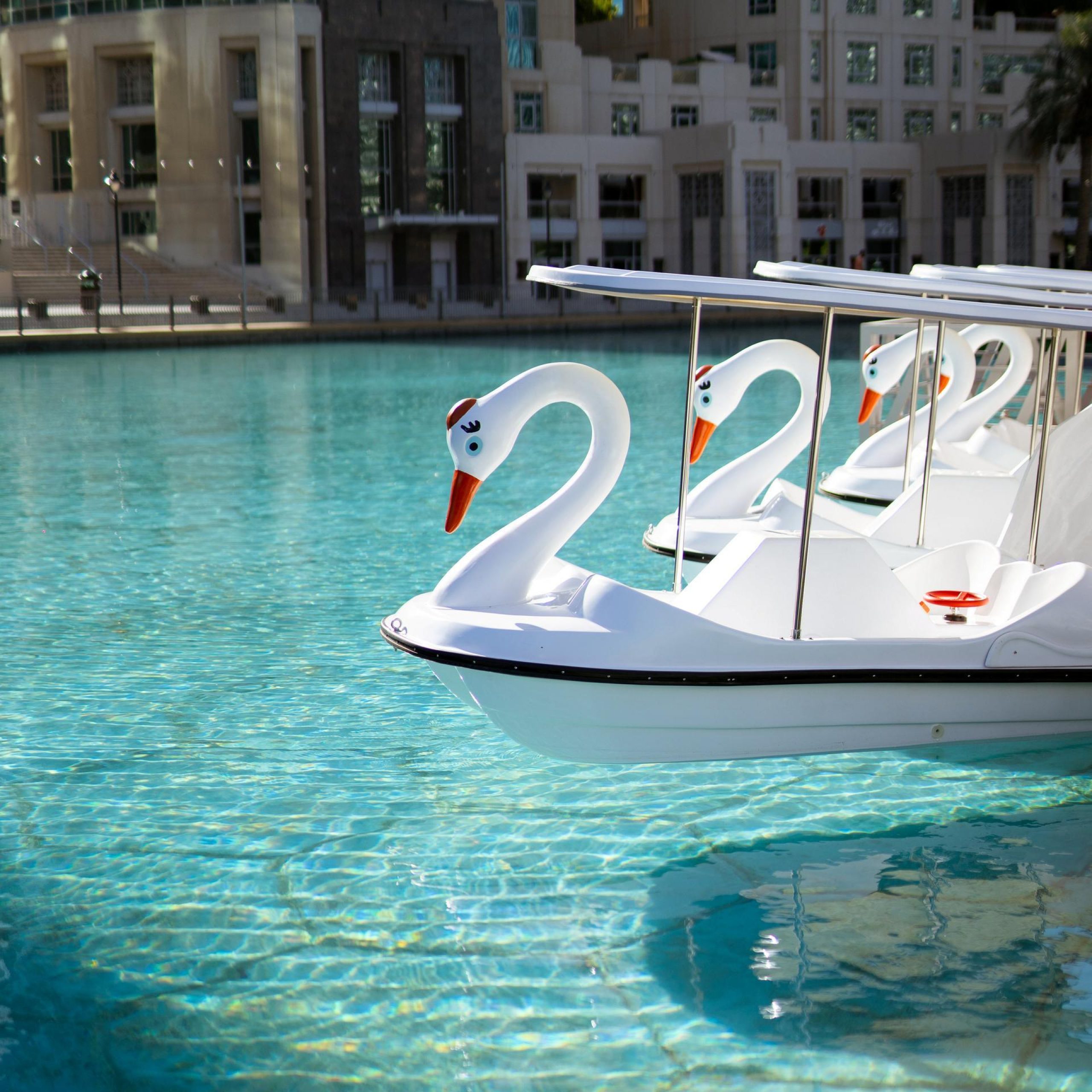 Dubai Fountain Pedal Swan Boats