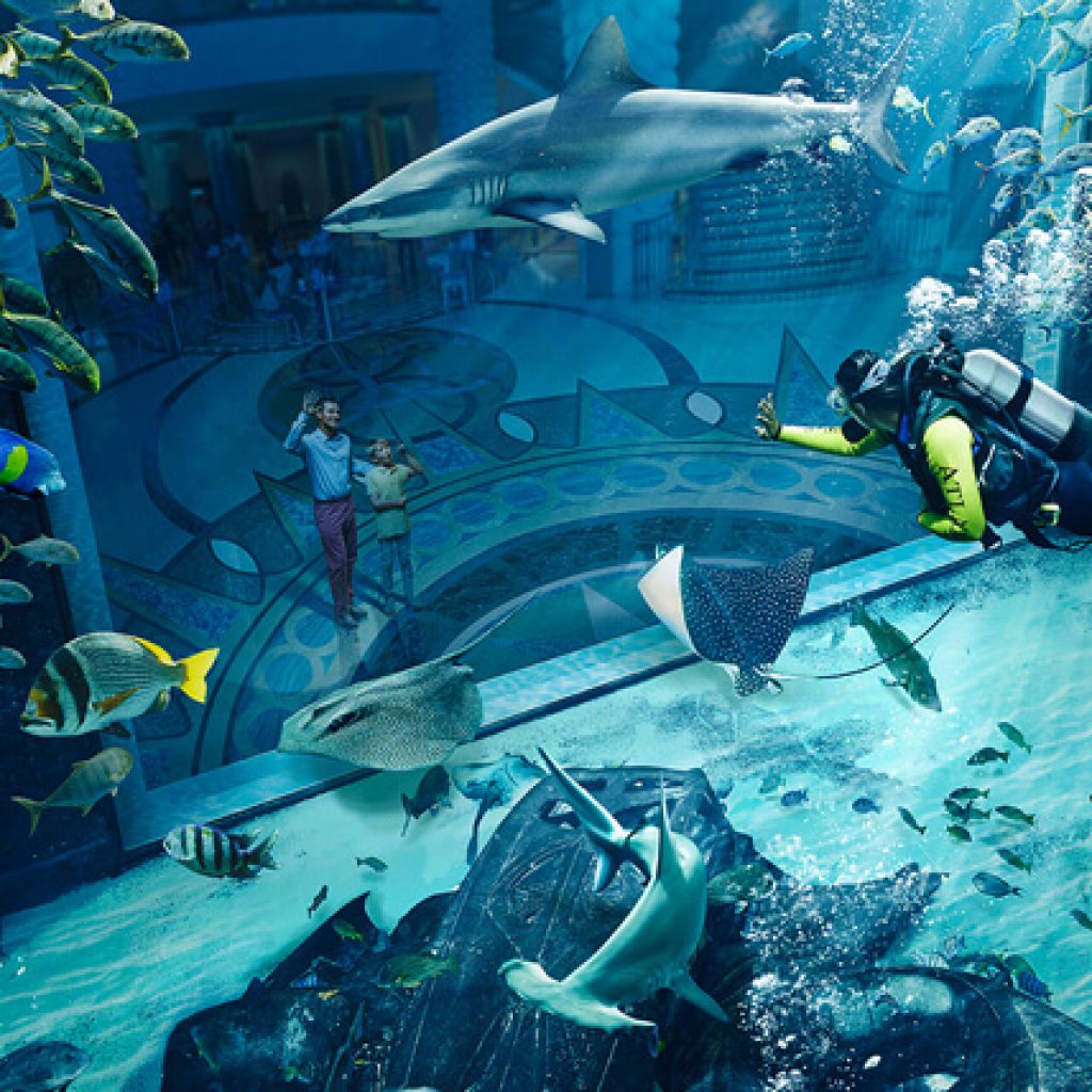 Scuba Diving at Jumairah