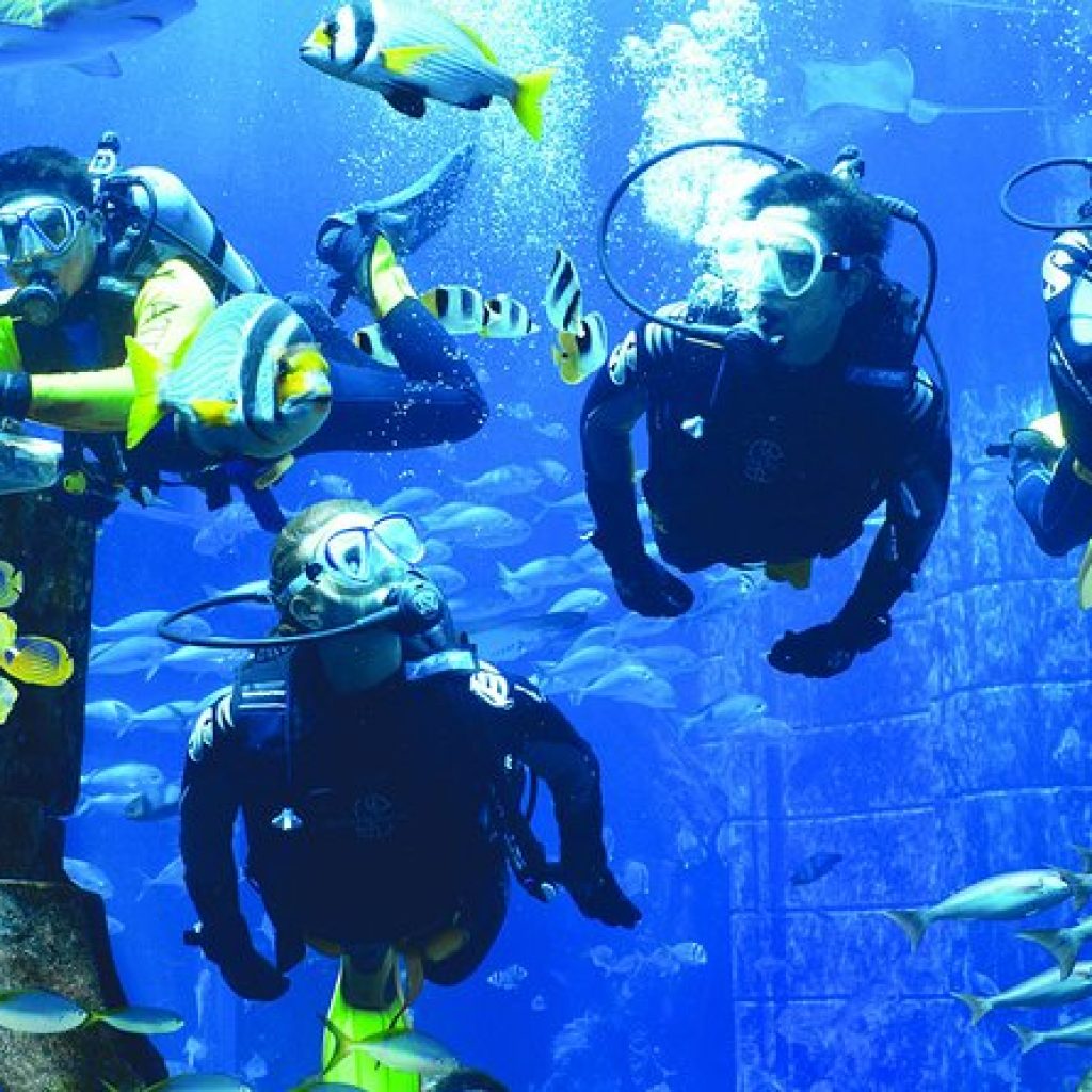 Scuba Diving at Jumairah