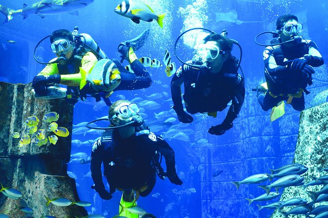 Ticket to Scuba Diving at Atlantis Aquaventure