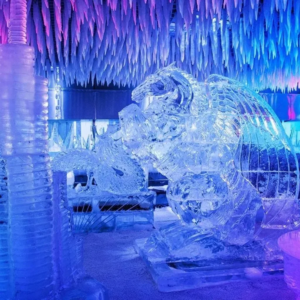 Chillout Ice Lounge Ticket + Drink and Snack