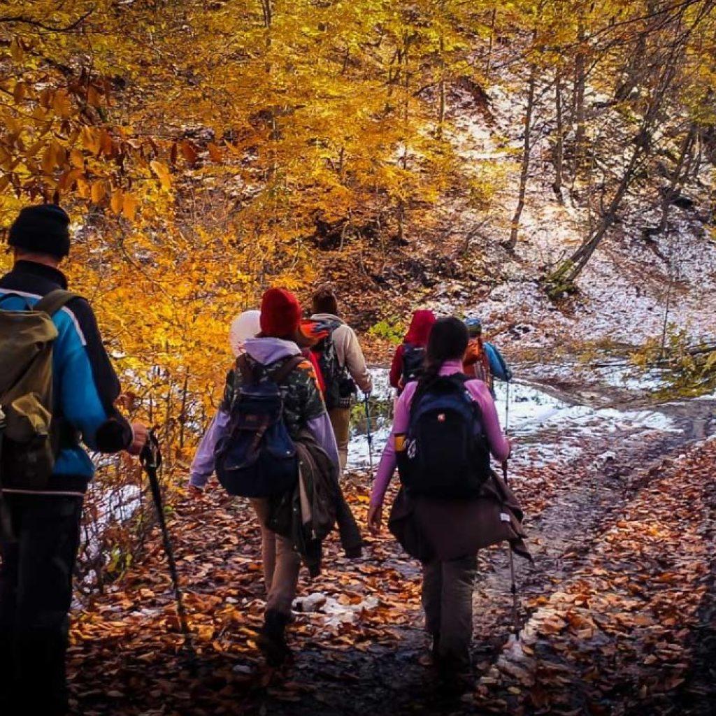 Special Georgia 5 Nights Package