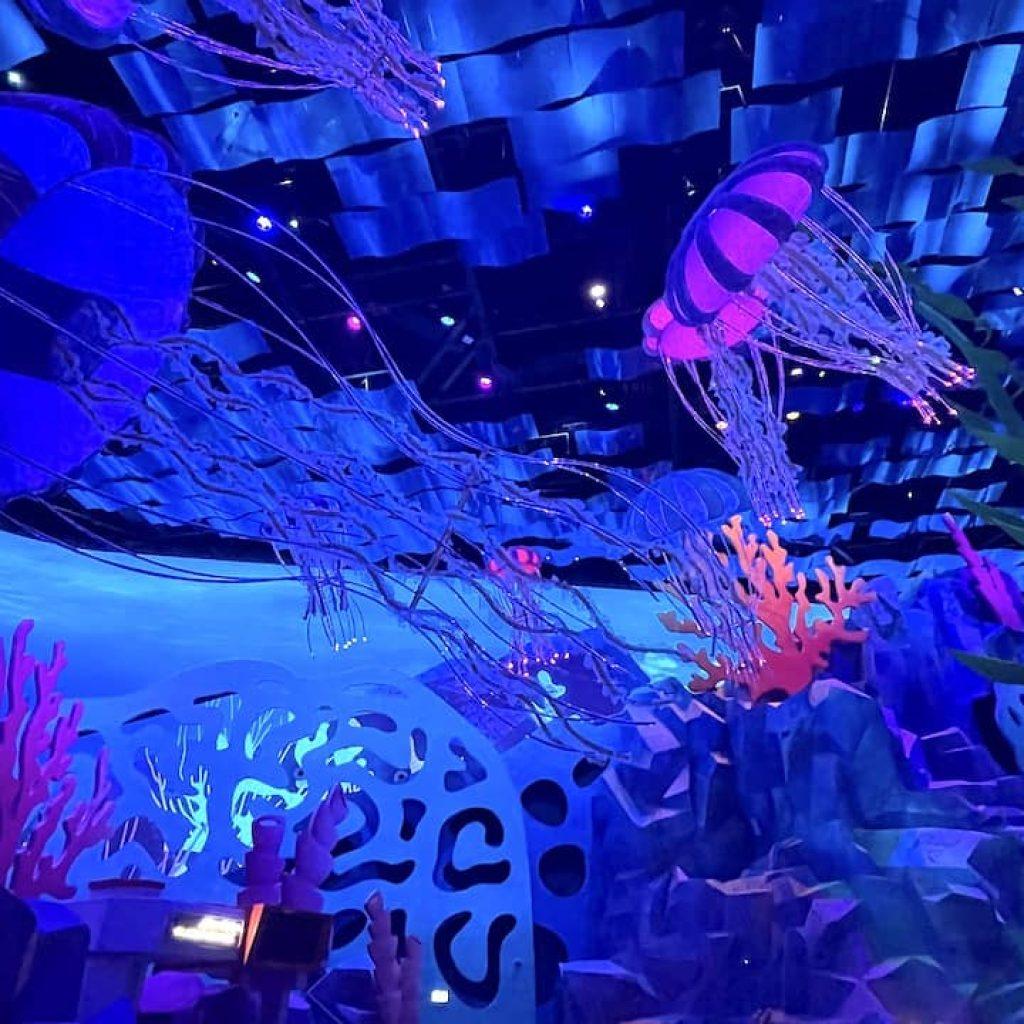 Seaworld Yas Island, Abu Dhabi