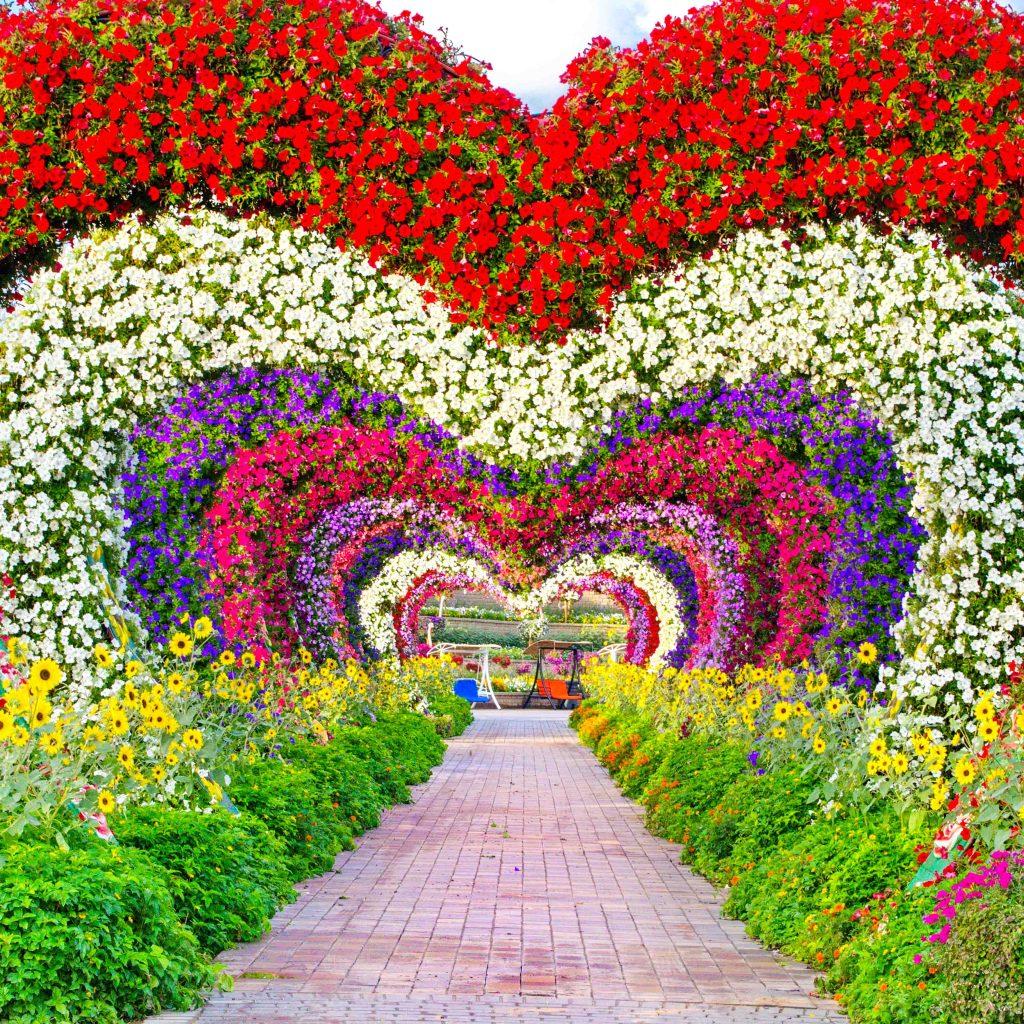 Miracle Garden Ticket