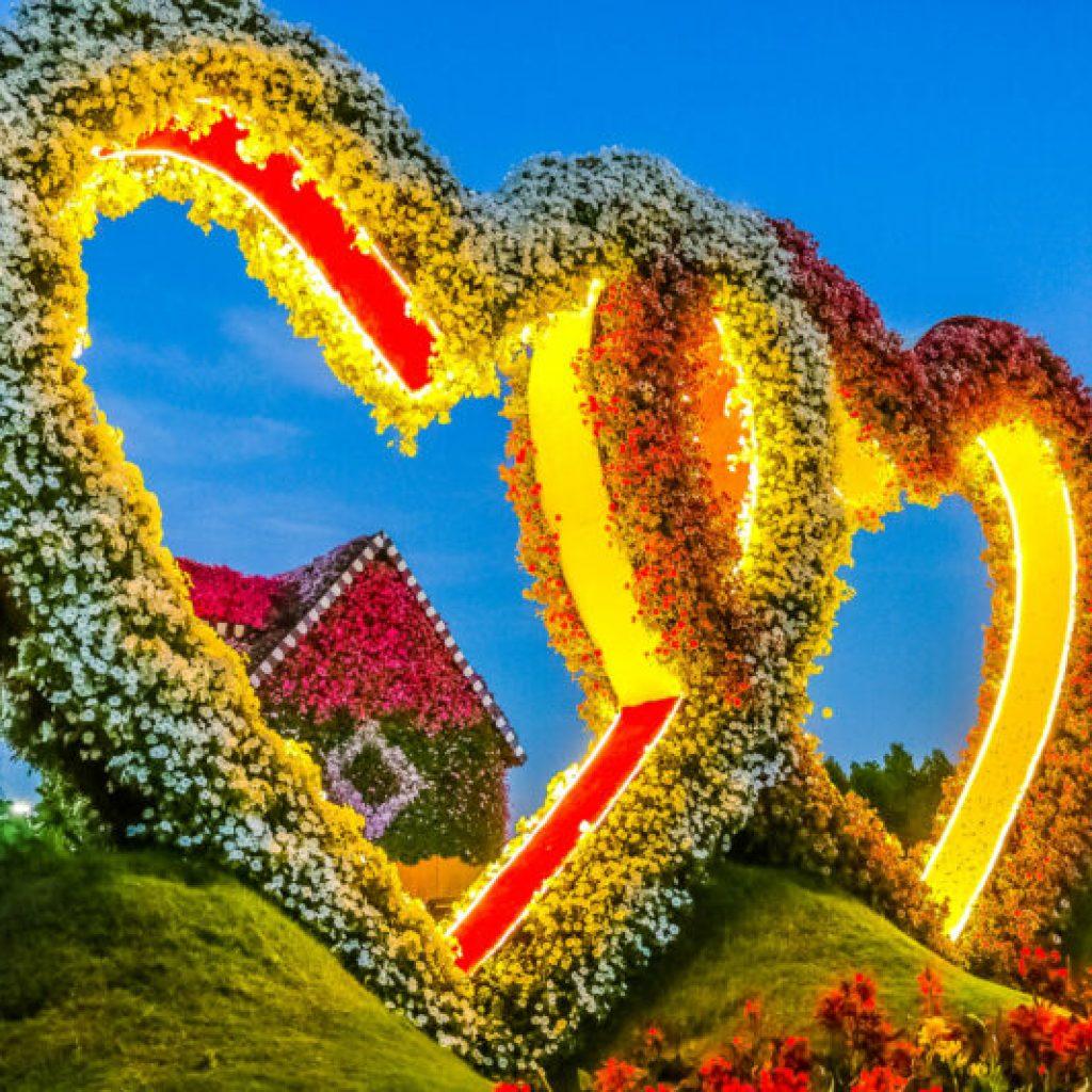 Miracle Garden Ticket