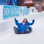 Snow Abu Dhabi Bob Slide