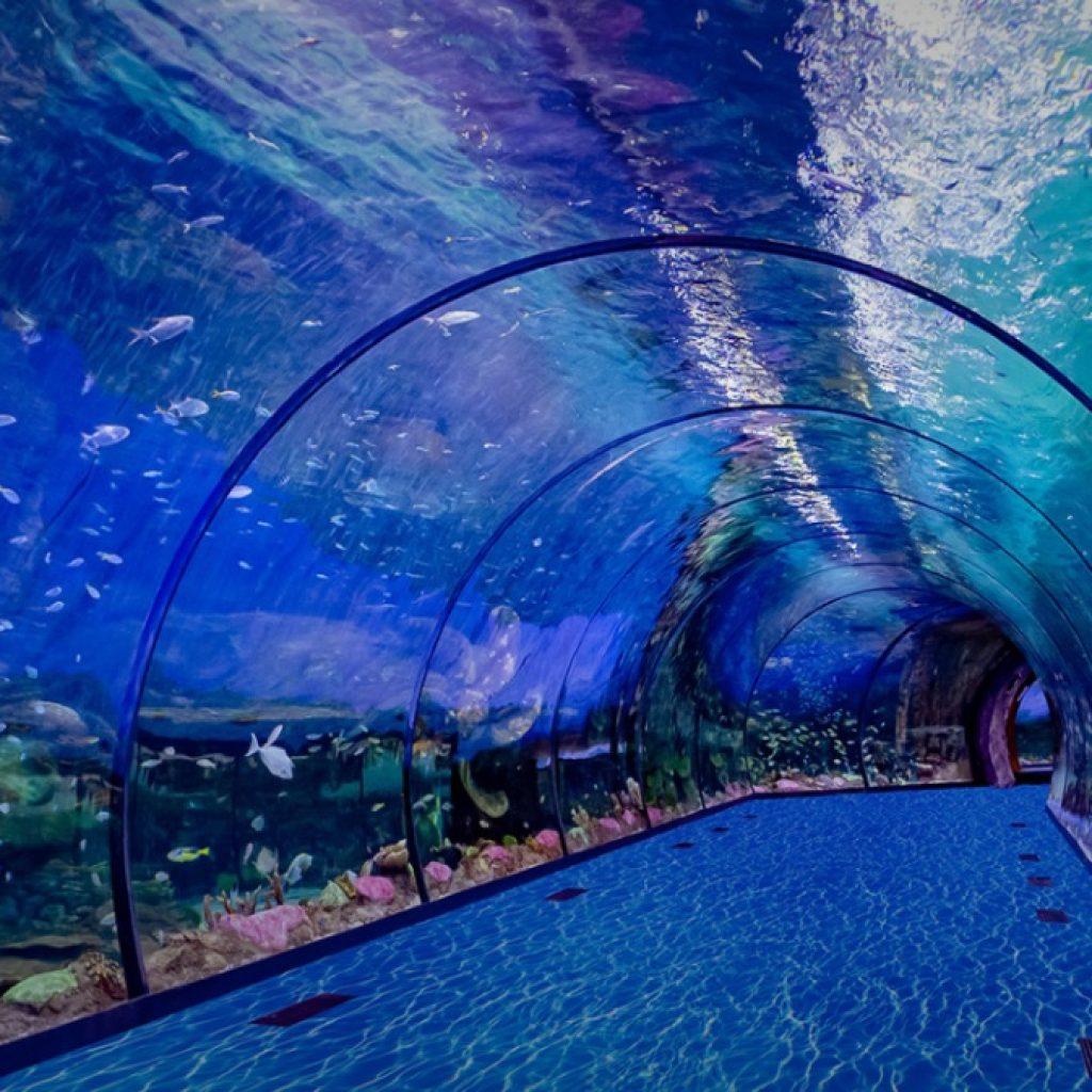 The National Aquarium Abu Dhabi