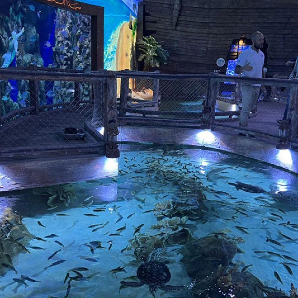 The National Aquarium Abu Dhabi