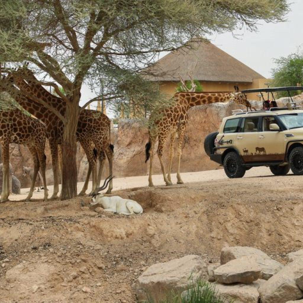 Al Ain Zoo