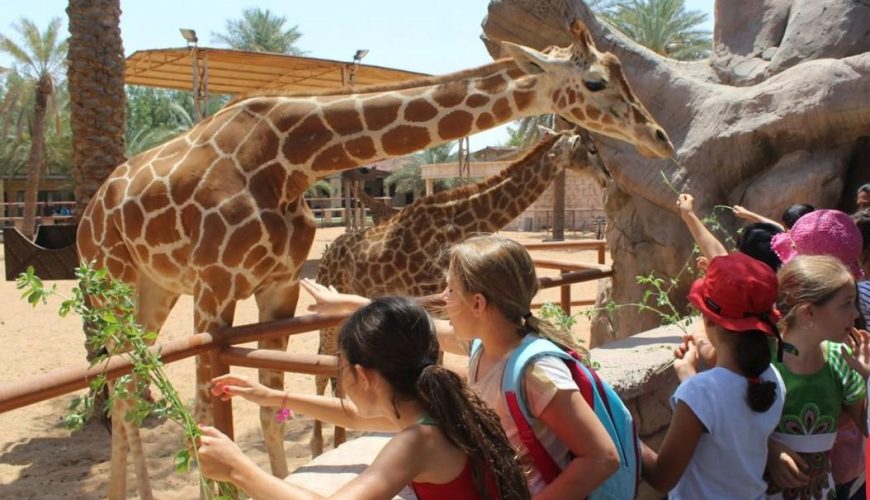 Al Ain Zoo