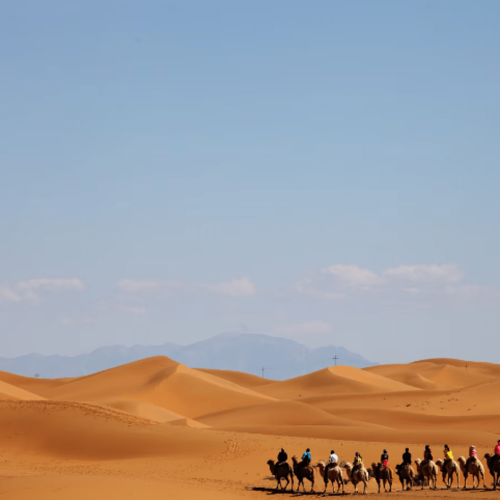 Camel Rides at Desert Safari Adventures in Dubai - Dxbsafari