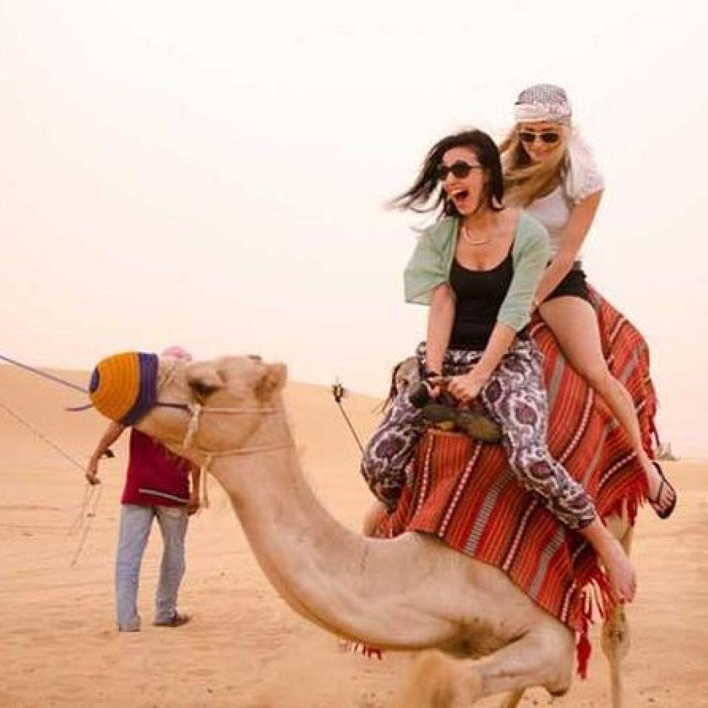 Moring Desert Safari