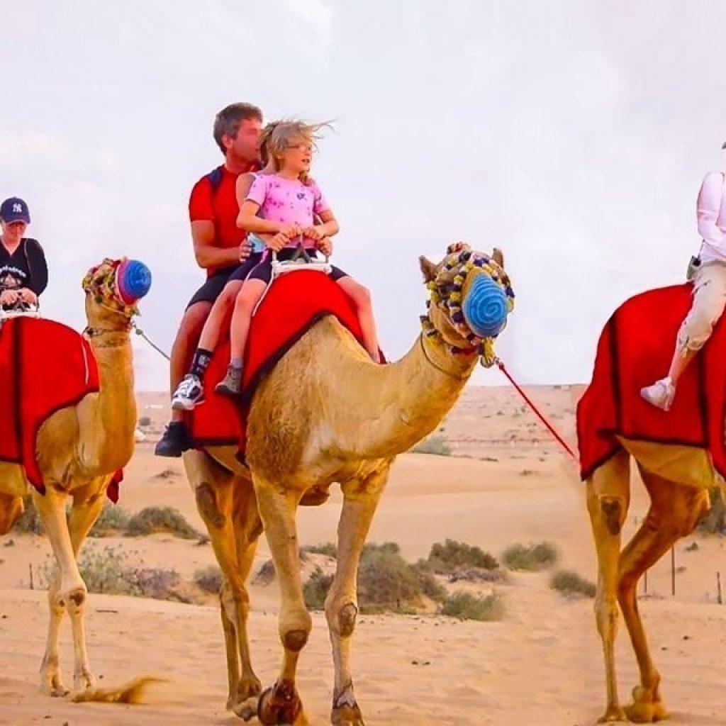 Moring Desert Safari