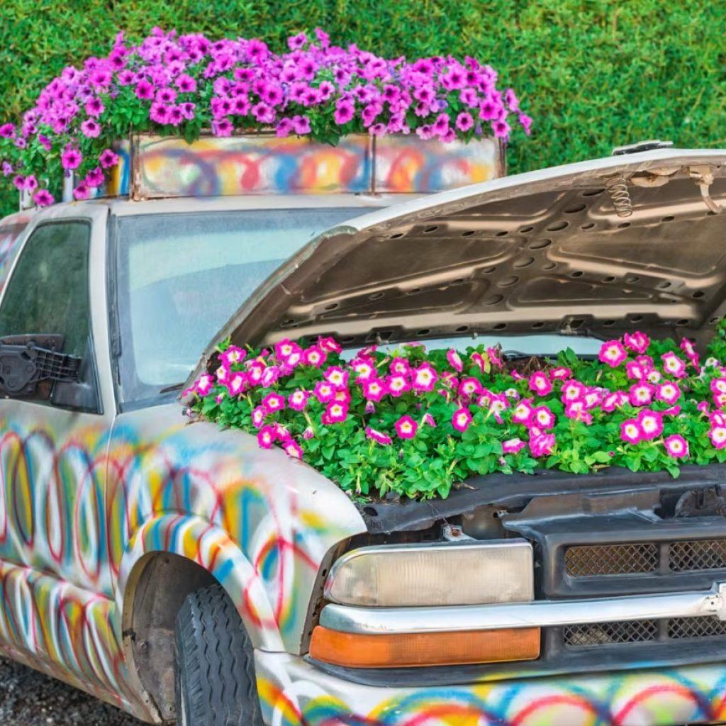 Dubai Miracle Garden Ticket