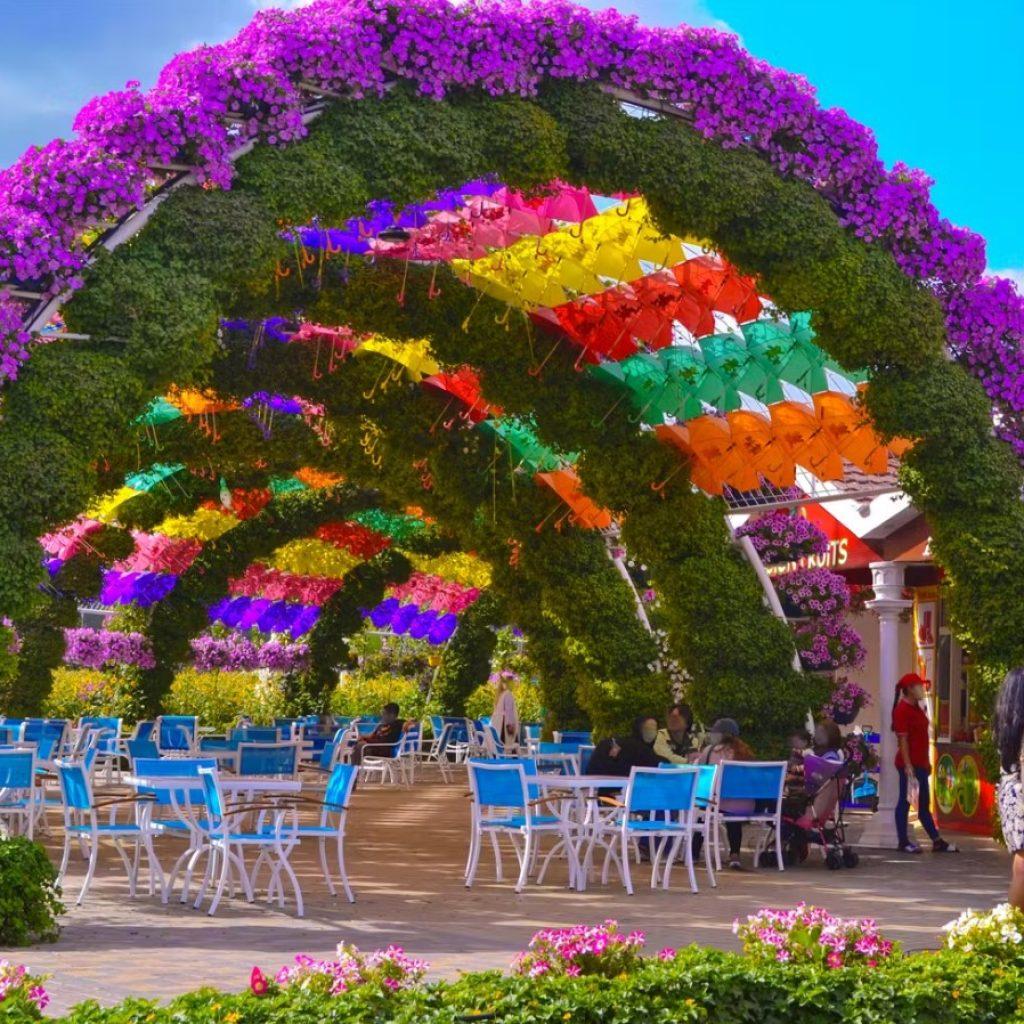 Dubai Miracle Garden Ticket