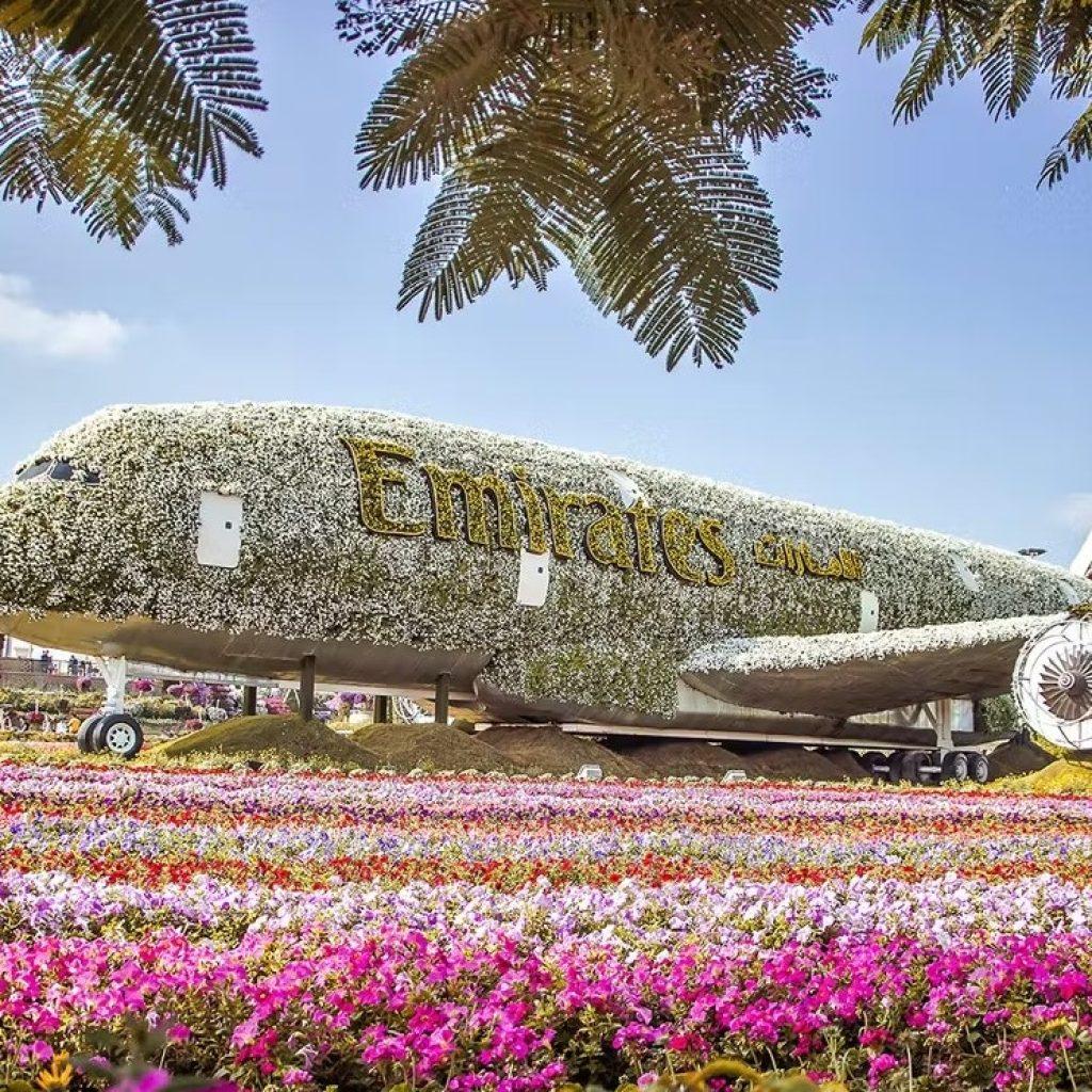Dubai Miracle Garden Ticket
