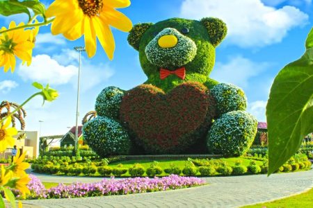 Dubai Miracle Garden Ticket