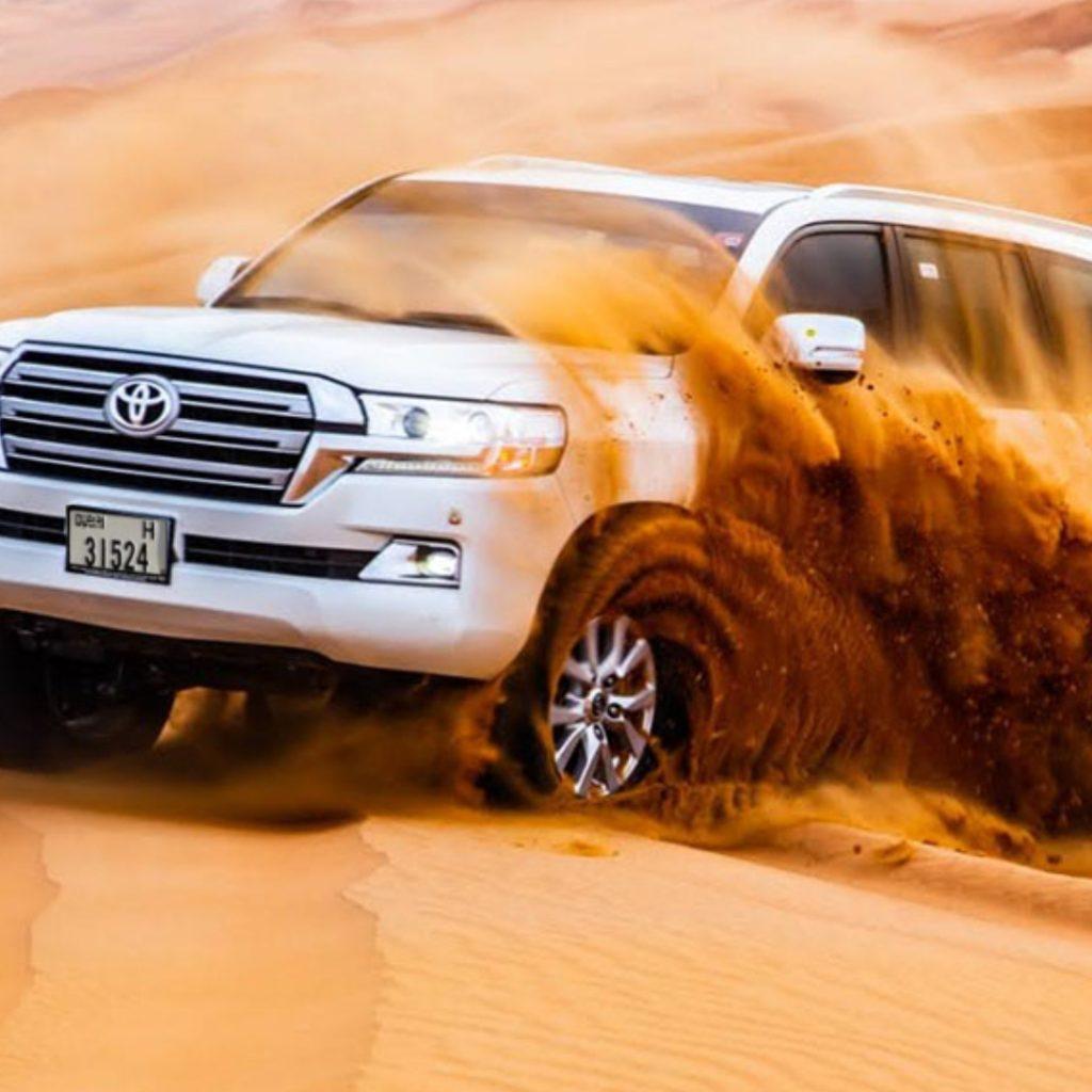 Evening Desert Safari